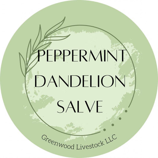 Dandelion Salve-Peppermint