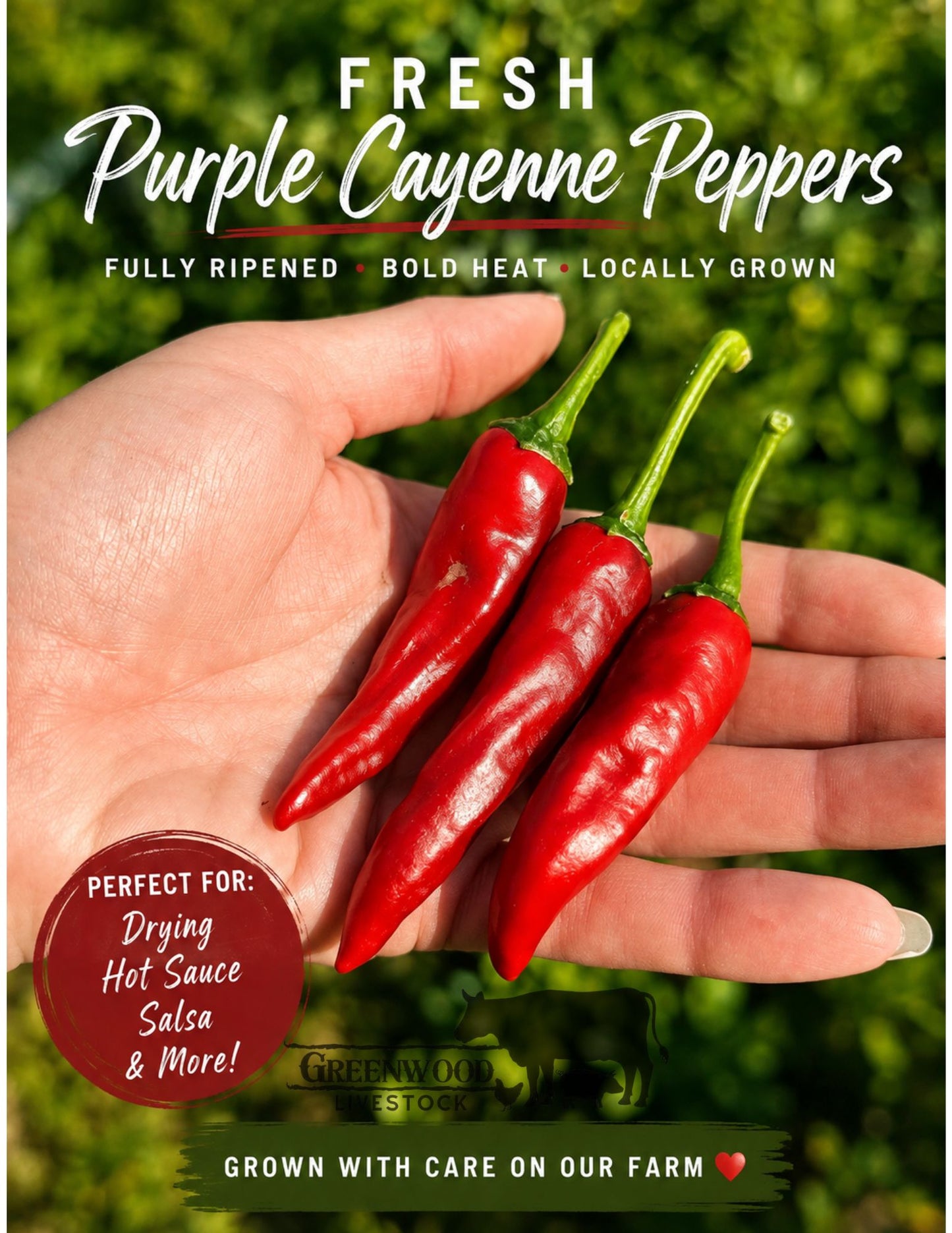 Farm Fresh Cayenne Peppers